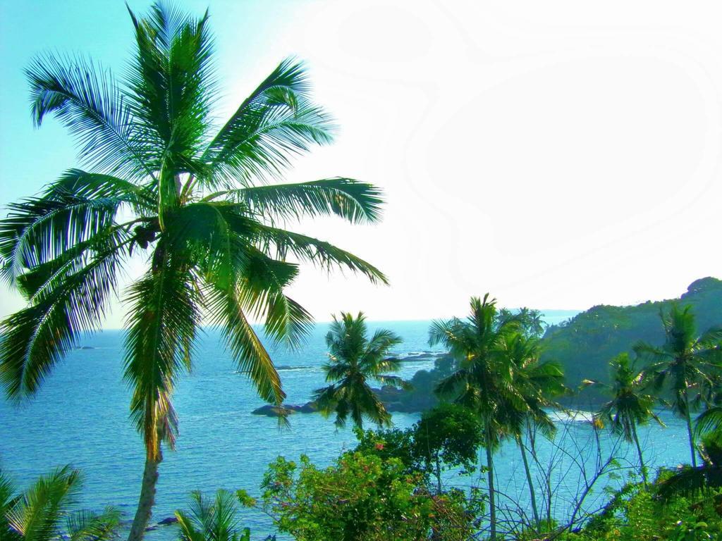 Amour Surf Tangalle Luaran gambar