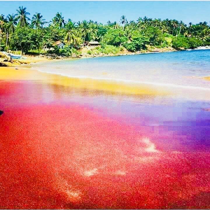 Amour Surf Tangalle Luaran gambar